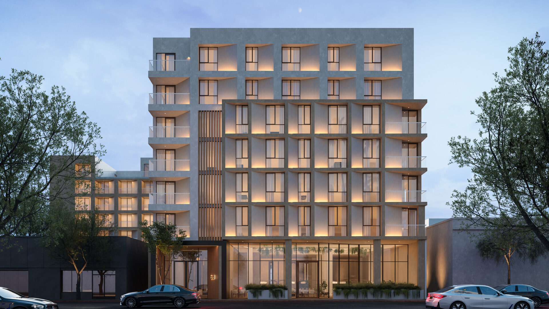 Mojave desert in the dark